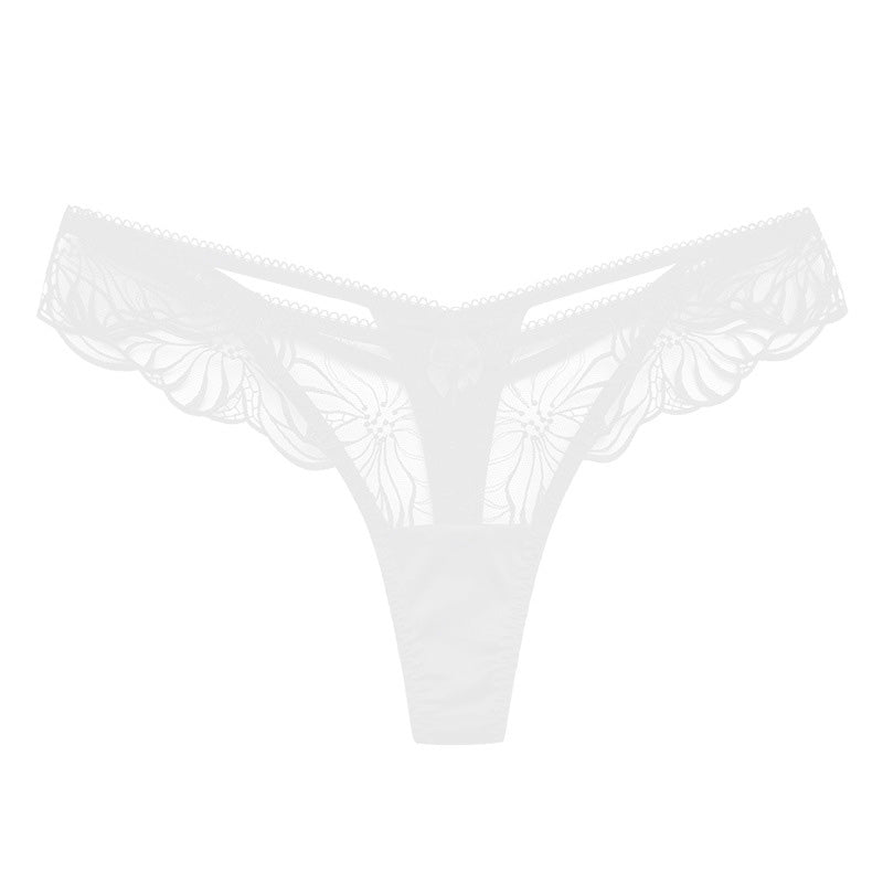 Veni 蕾絲丁字褲【E款】4色